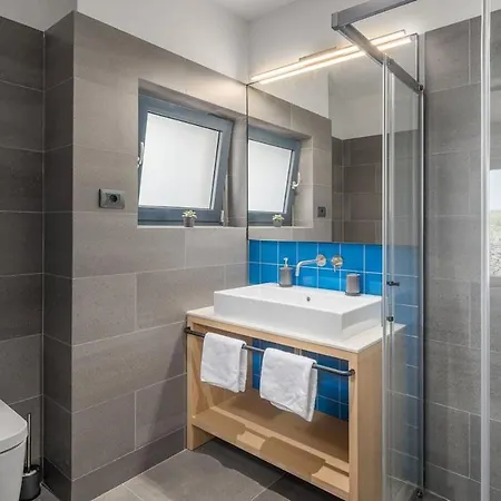 Villa Luxury Voliera With Wellness In Vodnjan