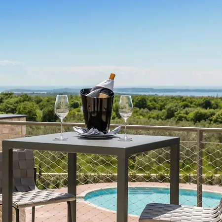 Villa Luxury Voliera With Wellness In *